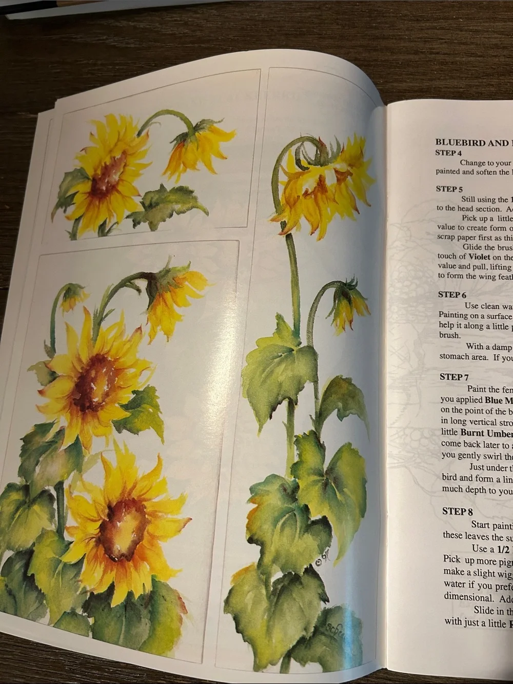 Watercolor instruction book group painting methods 4 books very good condition